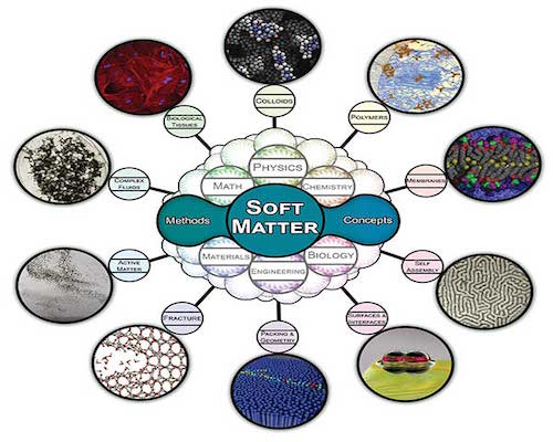 Soft and biological materials and interfaces