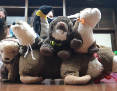 אלבום לשנת  2022-2023 משלחות ומחנות picture no. 2