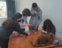 אלבום לשנת  2022-2023 משלחות ומחנות picture no. 11