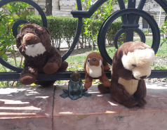 אלבום לשנת  2022-2023 משלחות ומחנות picture no. 20