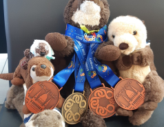 אלבום לשנת  2022-2023 משלחות ומחנות picture no. 22