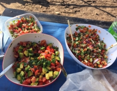 Lab events picture no. 8