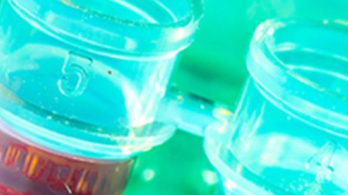 Weizmann-Brazil Tumor Bank