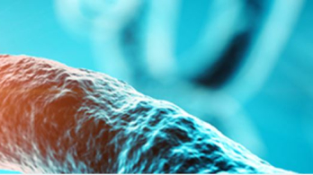 Swiss Society Institute for Cancer Prevention Research