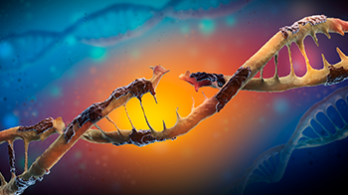 EKARD Institute for Cancer Diagnosis Research