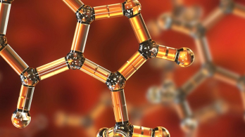 Vera and John Schwartz Family Center for Metabolic Biology