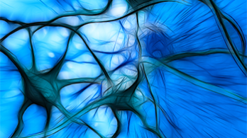 Moross Integrated Cancer Center (MICC)