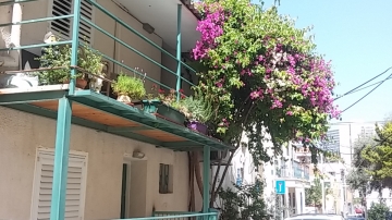 Administration fun day 2016 picture no. 25