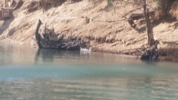 Fun Day 2016 picture no. 27