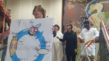 Purim 2018 picture no. 21