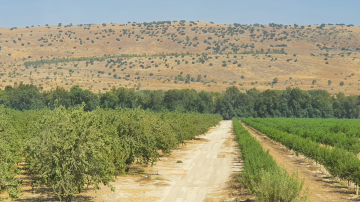 MCB 2022 Retreat Kfar Blum picture no. 120