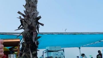 Retreat 2019 picture no. 40