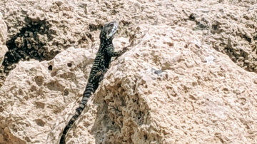 Retreat 2019 picture no. 43