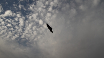 Retreat 2015 picture no. 21