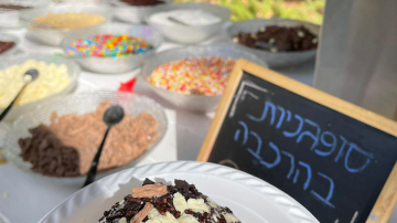 Hanukkah Toast 2021 picture no. 20