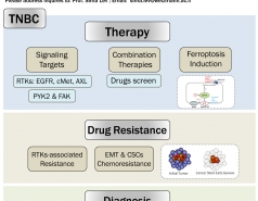 Postdoctoral position Sima Lev lab