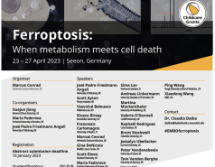 EMBO CONFERENCE.FERROPTOSIS. SIMA LEV