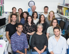 Oren Group picture, November 2017