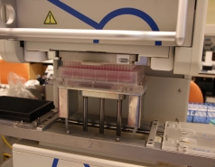 2014 - Lab constructions picture no. 9