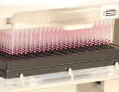 2014 - Lab constructions picture no. 10