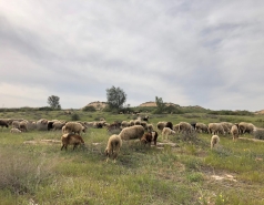 2019 - Lab trip to HaBesor stream picture no. 9