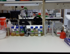 Around the lab picture no. 6