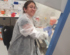 2021- Other pictures picture no. 2