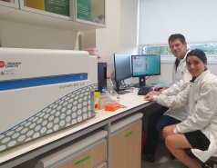 2021- Other pictures picture no. 12