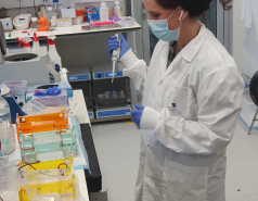 2022- Other pictures picture no. 13