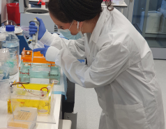 2022- Other pictures picture no. 14