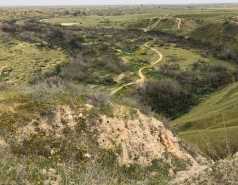 2019 - Lab trip to HaBesor stream picture no. 7