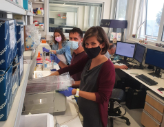 2020- Other pictures picture no. 7