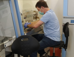 2020- Other pictures picture no. 8