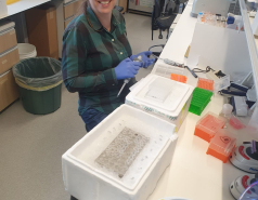 2020- Other pictures picture no. 9