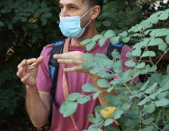 2020-12- Farewell trip for Leore Geller picture no. 6