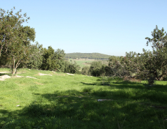 2020-12- Farewell trip for Leore Geller picture no. 12