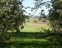 2020-12- Farewell trip for Leore Geller picture no. 15