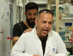 2017 - Purim picture no. 3