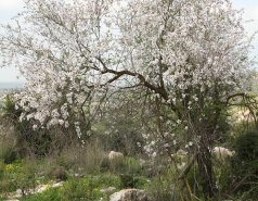 2022-2- Lab trip to Britania park picture no. 5