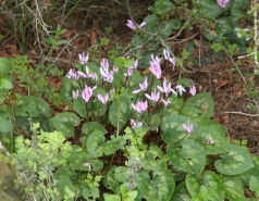 2022-2- Lab trip to Britania park picture no. 7