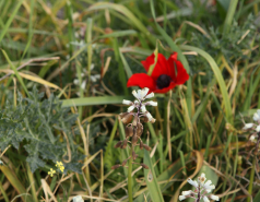 2023-01- Farewell to Lian & Yair picture no. 15