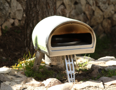 2023-01- Farewell to Lian & Yair picture no. 34