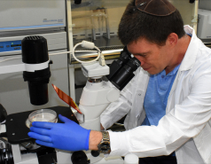 2020- Other pictures picture no. 10