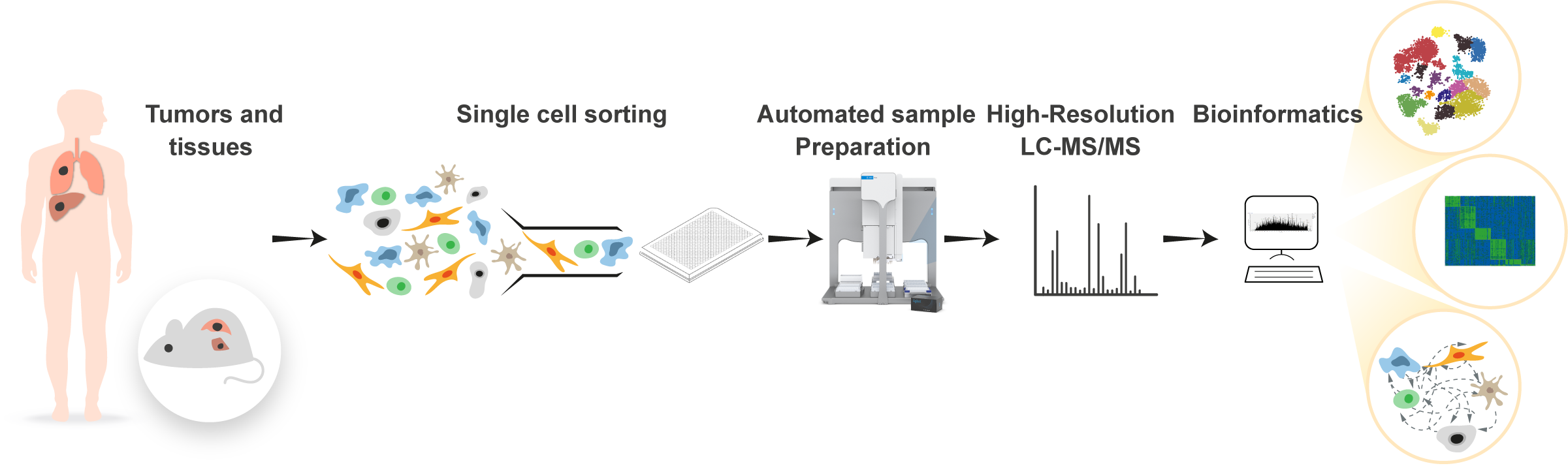 Single cell proteomics