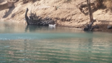 Fun Day 2016 picture no. 24