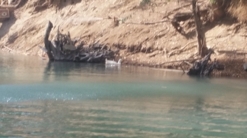 Fun Day 2016 picture no. 25