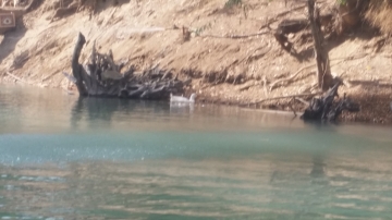 Fun Day 2016 picture no. 26