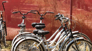 MCB 2022 Retreat Kfar Blum picture no. 97