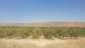 MCB 2022 Retreat Kfar Blum picture no. 119