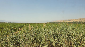 MCB 2022 Retreat Kfar Blum picture no. 122